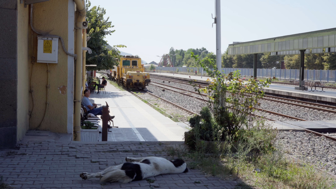 Still: a sunlit railway station; a black-and-white dog sleeps on the paving, a man sits in the shade of the yellow station building on the left, and a yellow maintenance train stands on the tracks.
