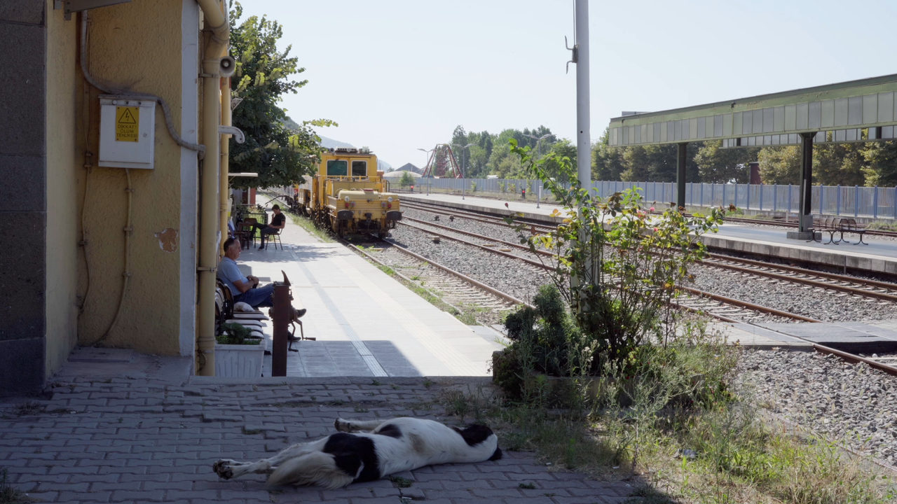 Still: a sunlit railway station; a black-and-white dog sleeps on the paving, a man sits in the shade of the yellow station building on the left, and a yellow maintenance train stands on the tracks.